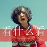 宠物美容知识内容总结